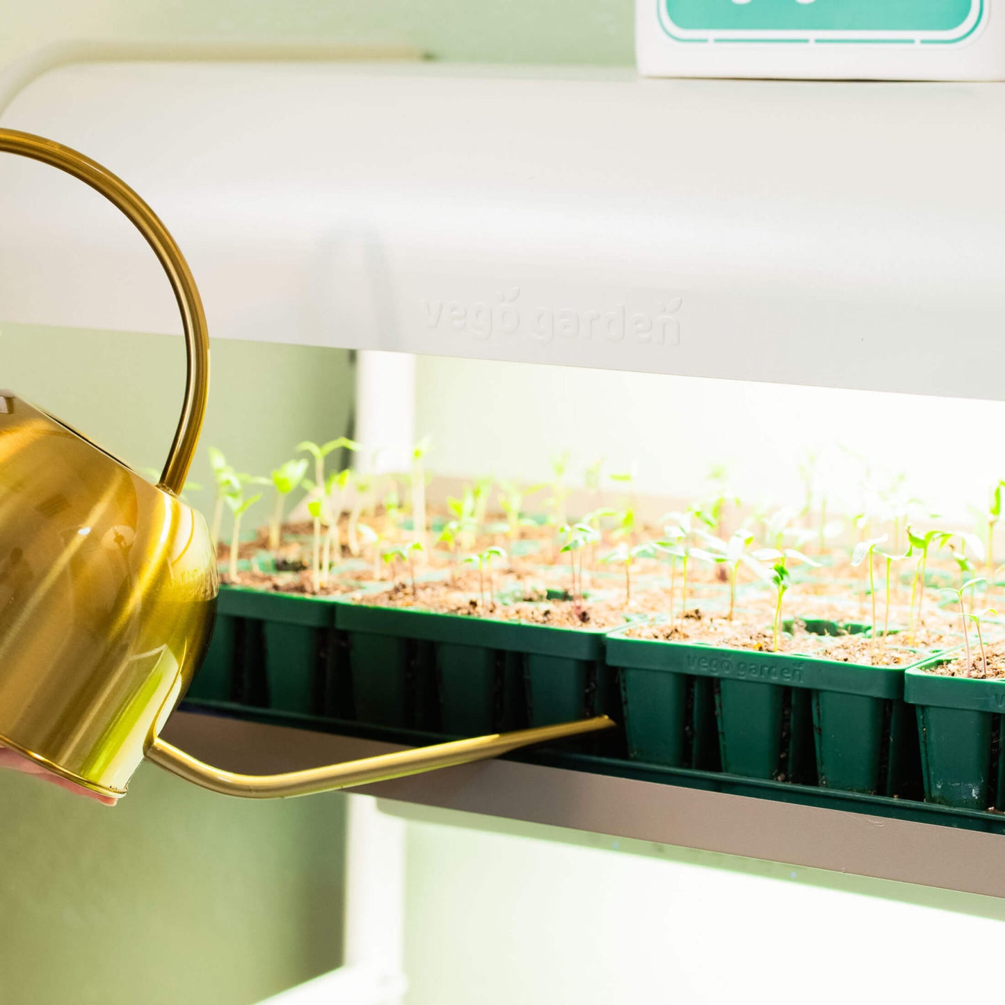 4 Tier Grow Light Garden  with Storage