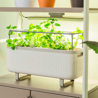 4 Tier Grow Light Garden  with Storage