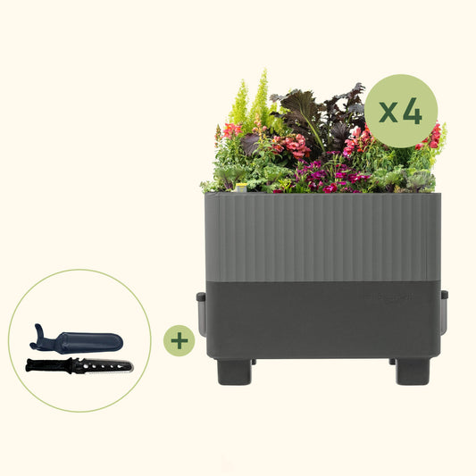 Urban Gardening Kit
