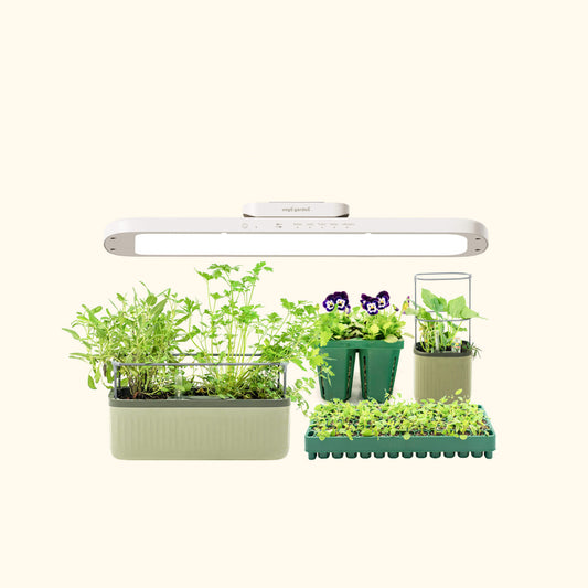 The Vego Grow Light