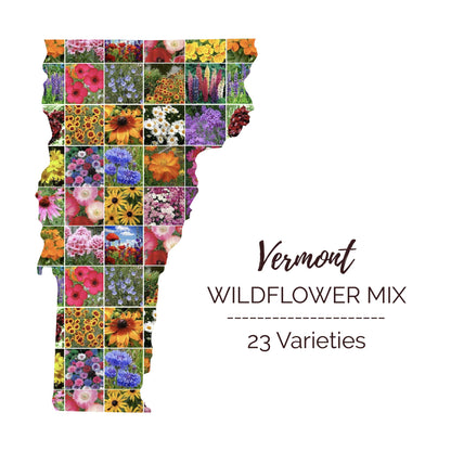 Vermont Wildflower Seed Mix