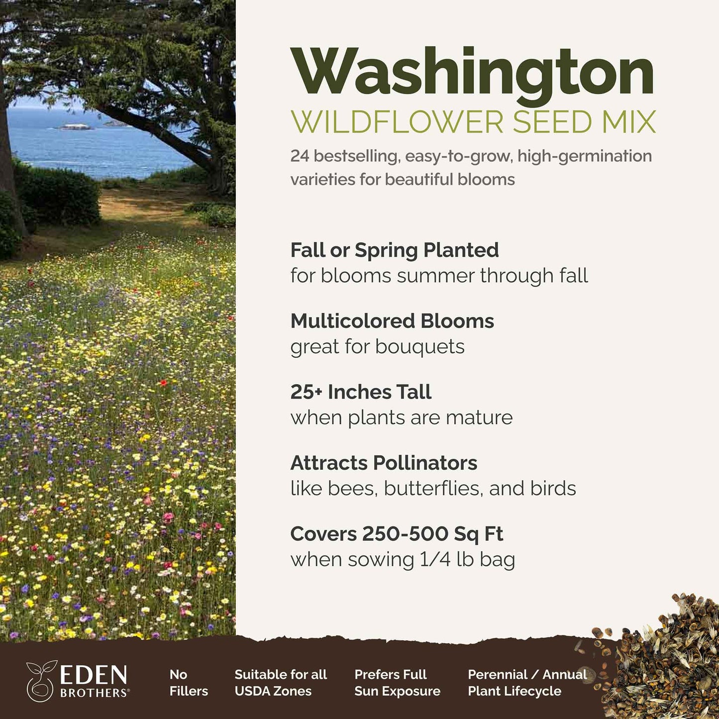 Washington Wildflower Seed Mix