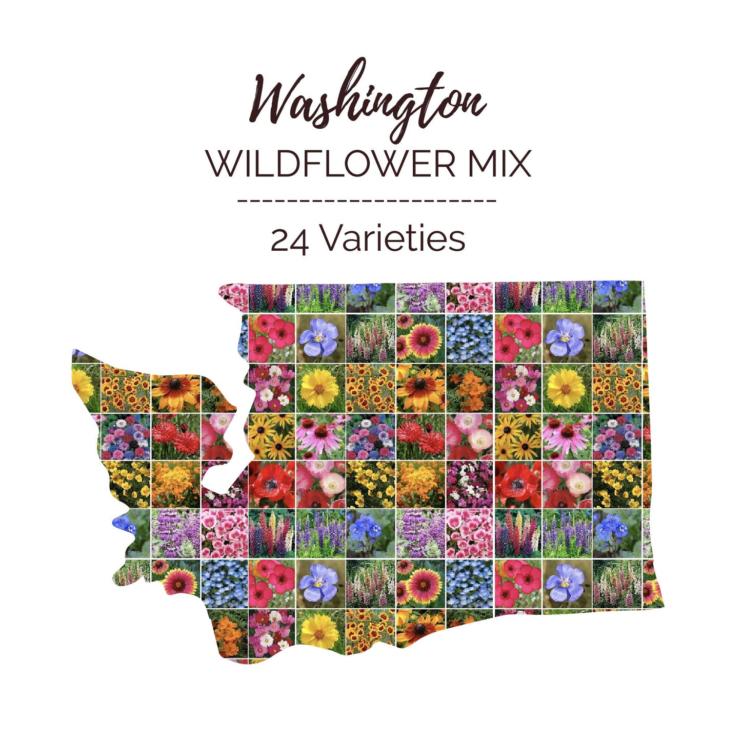 Washington Wildflower Seed Mix