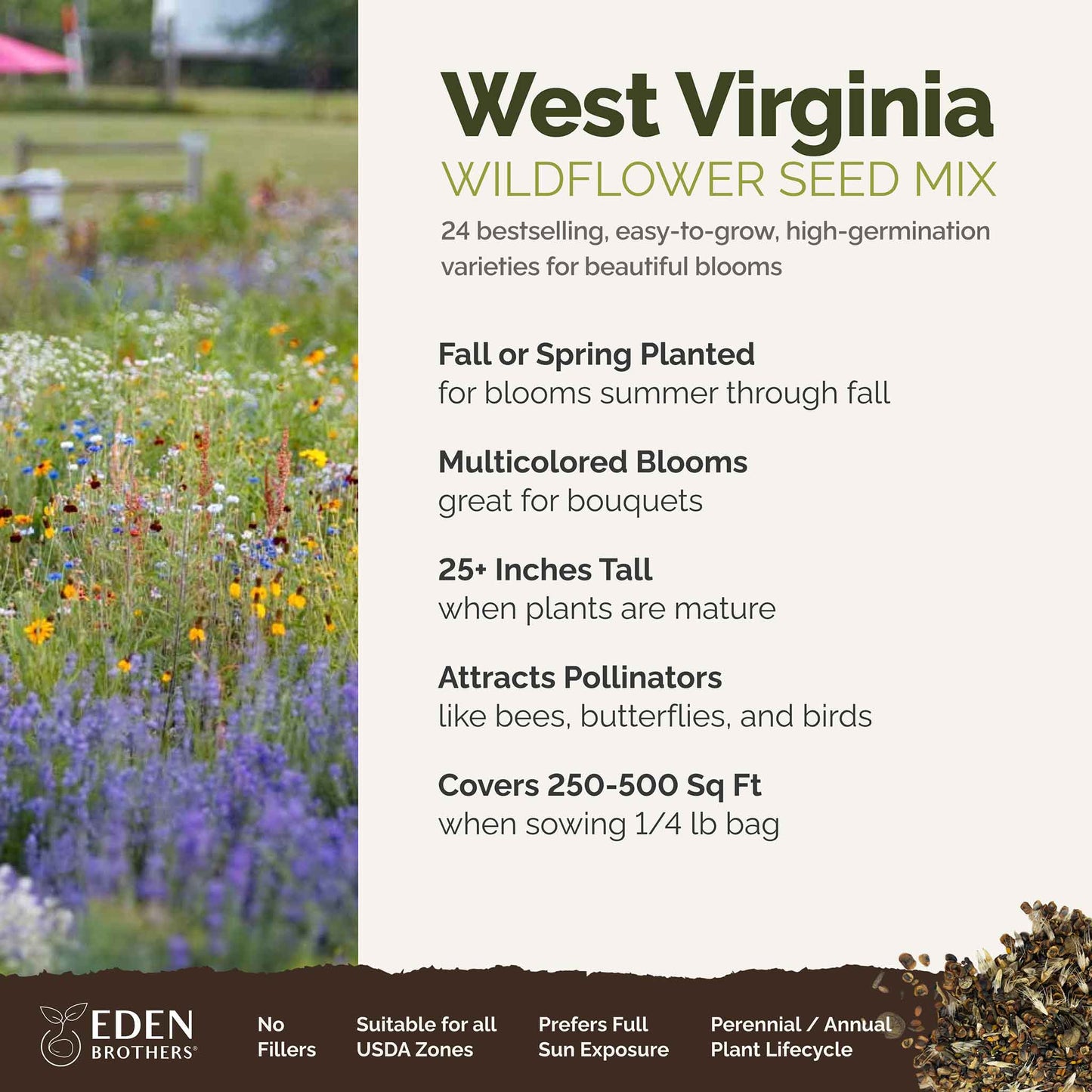 West Virginia Wildflower Seed Mix