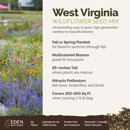 West Virginia Wildflower Seed Mix