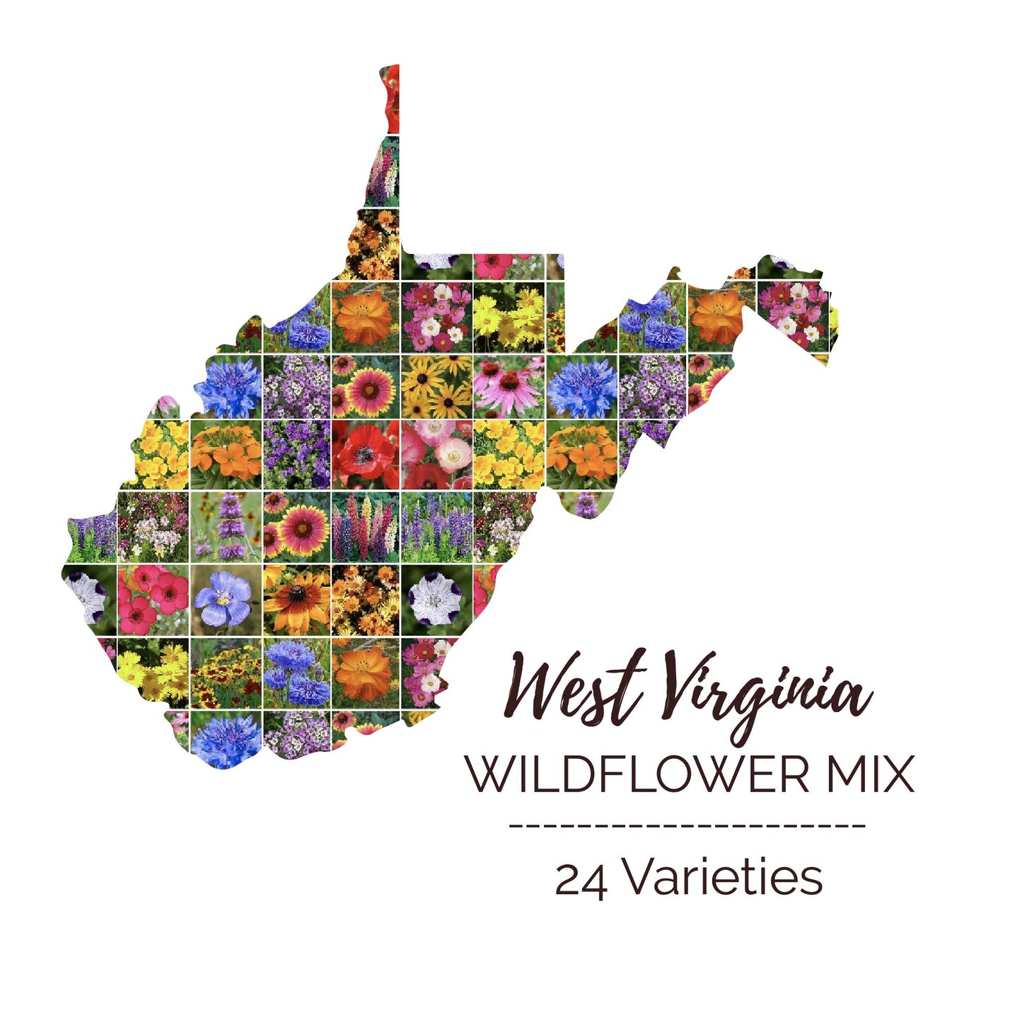 West Virginia Wildflower Seed Mix