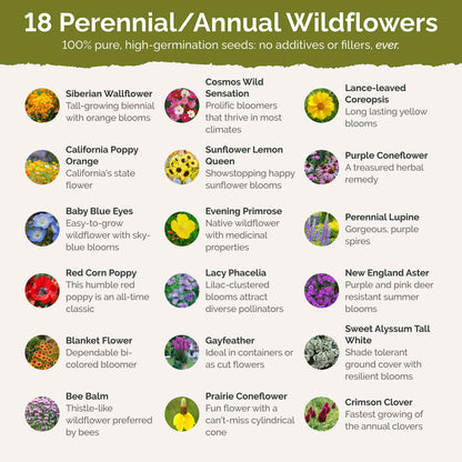 Wisconsin Wildflower Seed Mix