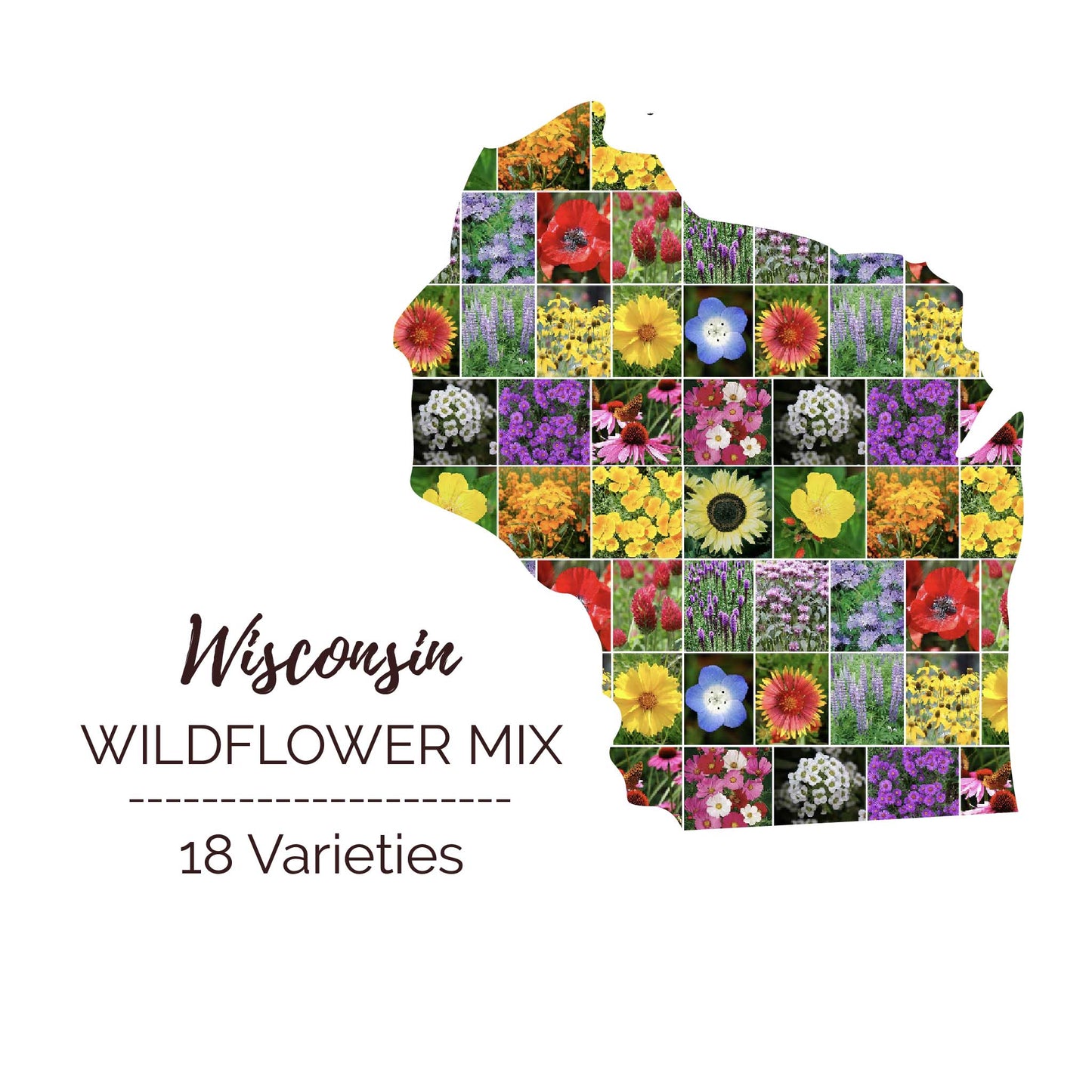 Wisconsin Wildflower Seed Mix