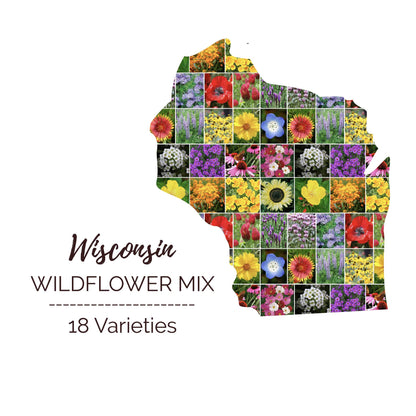 Wisconsin Wildflower Seed Mix