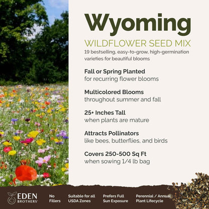 Wyoming Wildflower Seed Mix