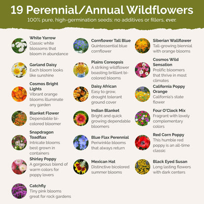 Wyoming Wildflower Seed Mix