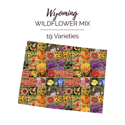 Wyoming Wildflower Seed Mix