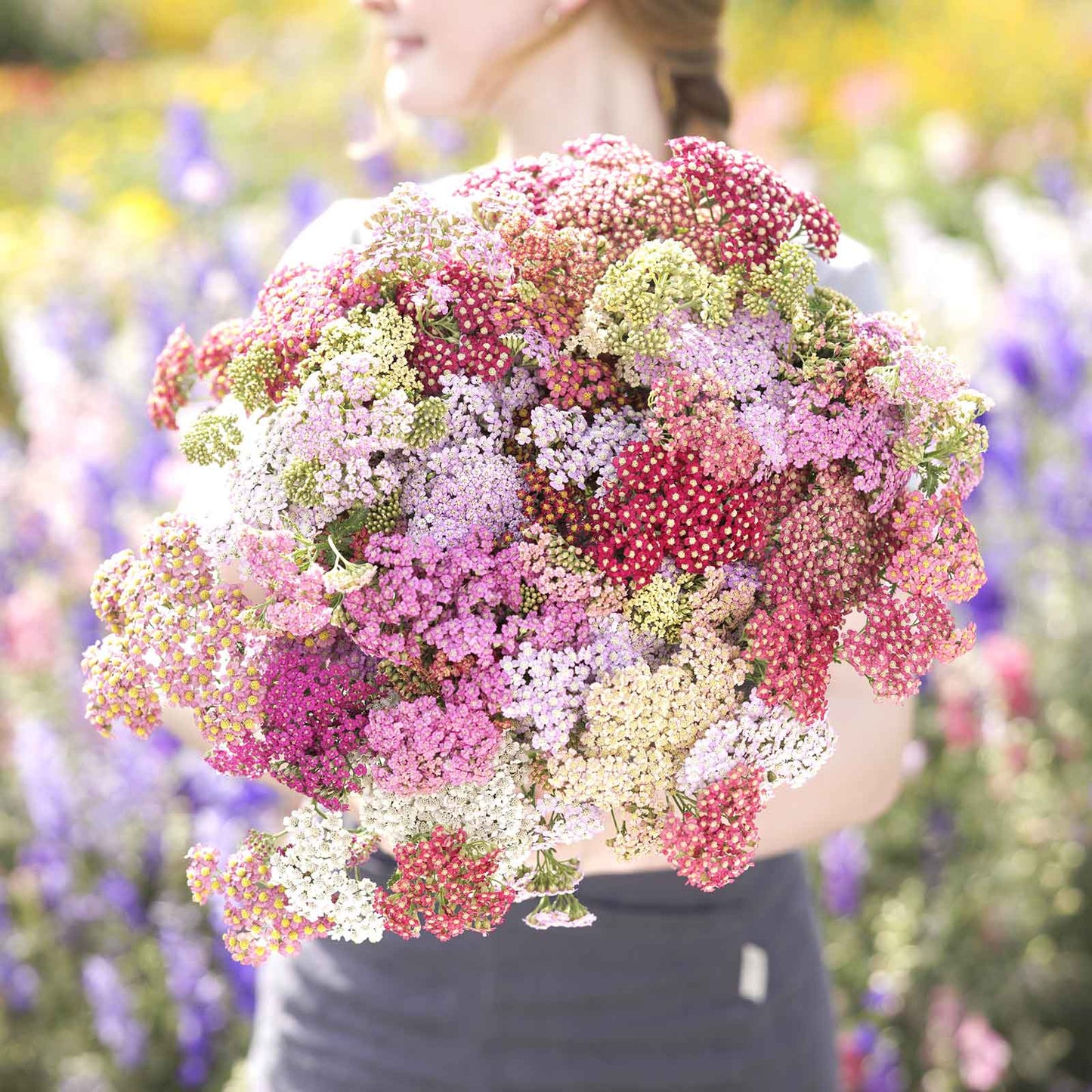 Yarrow Roots - Summer Pastels